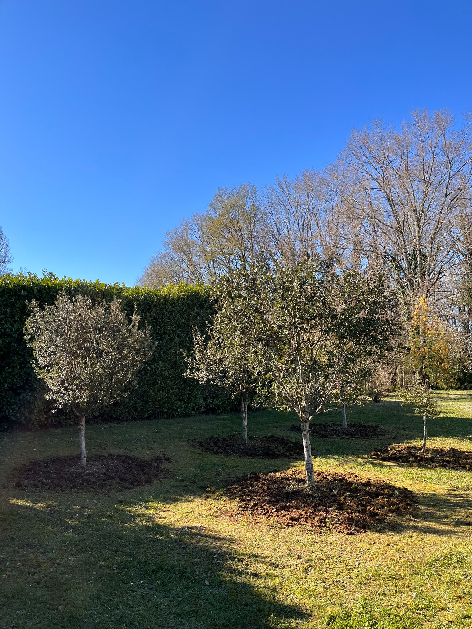 Entretien annuel des jardins — SAS Garnier